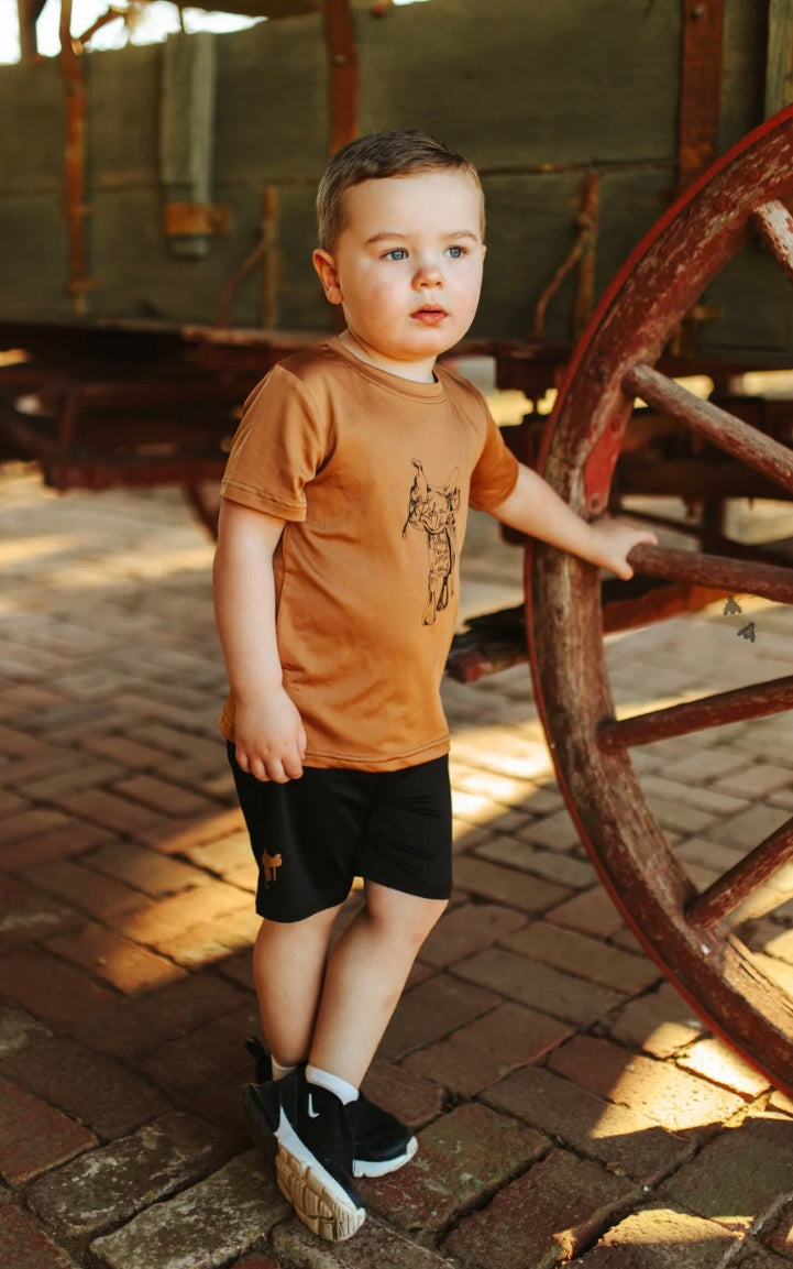 RANCHY RASCALS *SADDLE