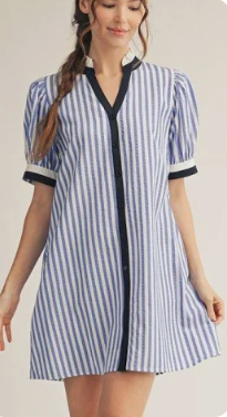 Button Down Stripe Shift Dress