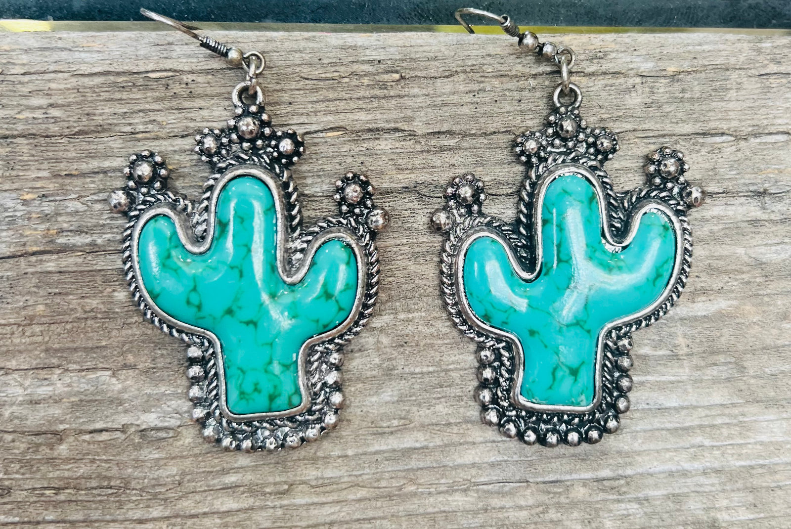 Rope Border Cactus Earrings.